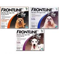 frontline plus - flea & tick control